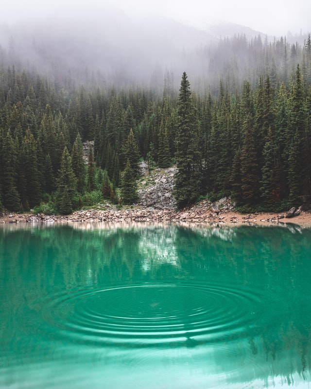 Техника "Работа с обидой"