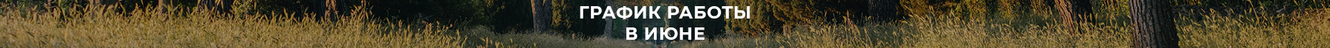 Сверху над шапкой