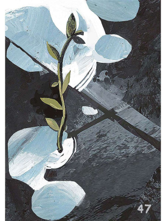 Древо жизни. Карты для поиска выхода из трудной жизненной ситуации (коробка)