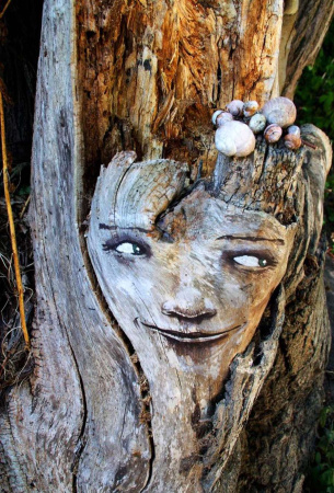 Метафорические ассоциативные карты "Деревья"