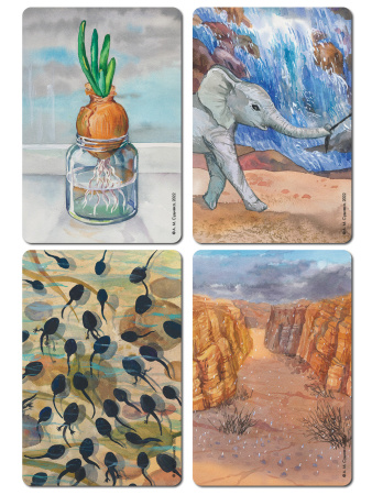 Метафорические карты «Лики воды». Карты внутренней целостности