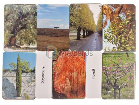 Метафорические ассоциативные карты "Дерево как образ человека"