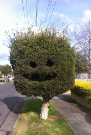 Метафорические ассоциативные карты "Деревья"