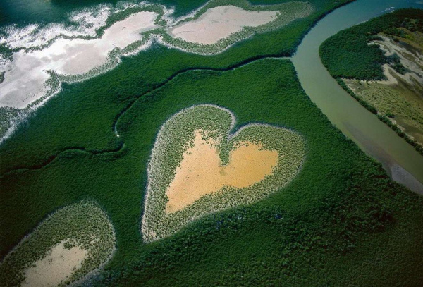 Метафорические ассоциативные карты "Энергия природы"