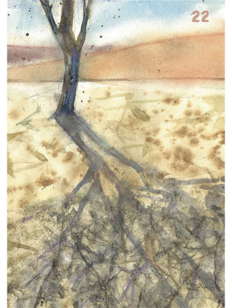 Древо жизни. Карты для поиска выхода из трудной жизненной ситуации (коробка)