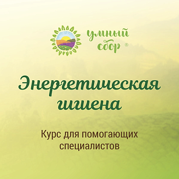 «Энергетическая гигиена». Курс медитаций и практик об экологичных источниках ресурсов и здоровых личных границах
