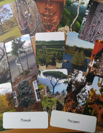 Метафорические ассоциативные карты "Дерево как образ человека"