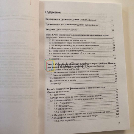 "Панические атаки. Гештальт-терапия в единстве клинических и социальных контекстов"