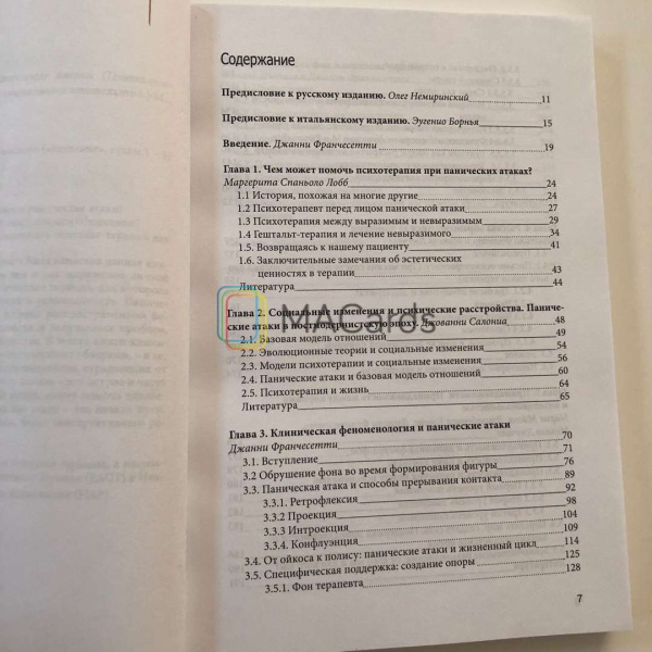 "Панические атаки. Гештальт-терапия в единстве клинических и социальных контекстов"