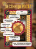Бизнес-игра "Лестница роста"