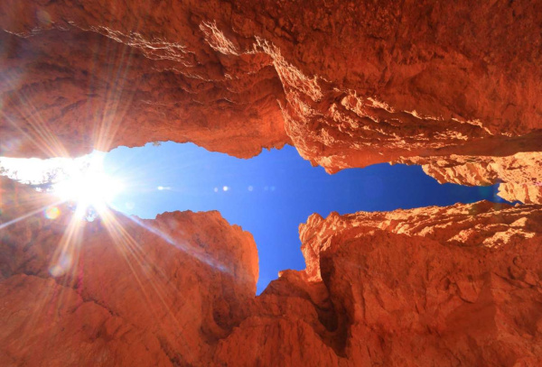 Фотоколода "Стихия - Земля"