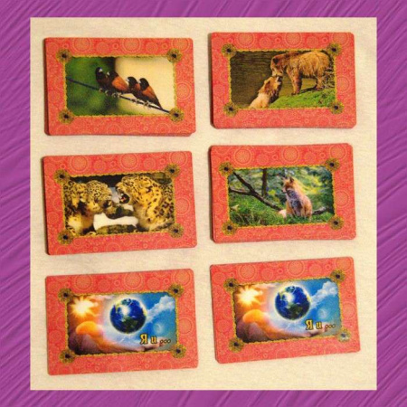 Трансформационная психологическая игра-стратегия "Долговая яма" (расширенная VIP комплектация)