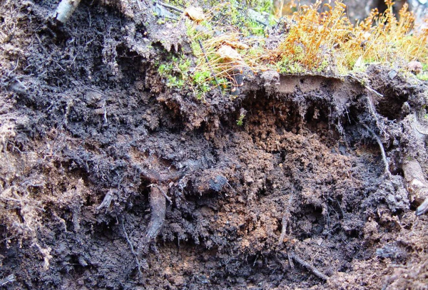 Фотоколода "Стихия - Земля"