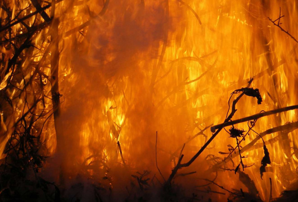 Фотоколода "Стихия - Огонь"