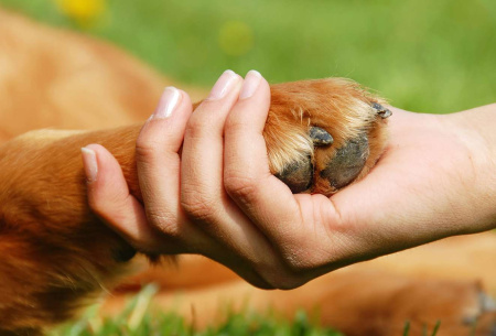 Фотоколода "Руки"