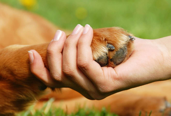 Фотоколода "Руки"