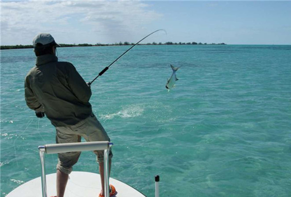 Фотоколода "Радости жизни"