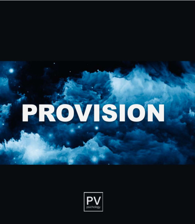 Трансформационная Игра PROVISION