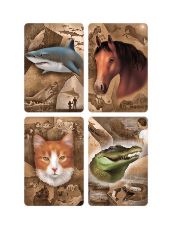 Метафорические ассоциативные карты "Моё тотемное животное"